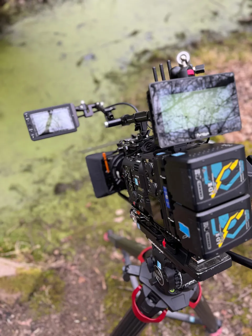 Cinema camera rigged with two monitors and battery packs on a tripod, positioned over a moss-covered pond in woodland.