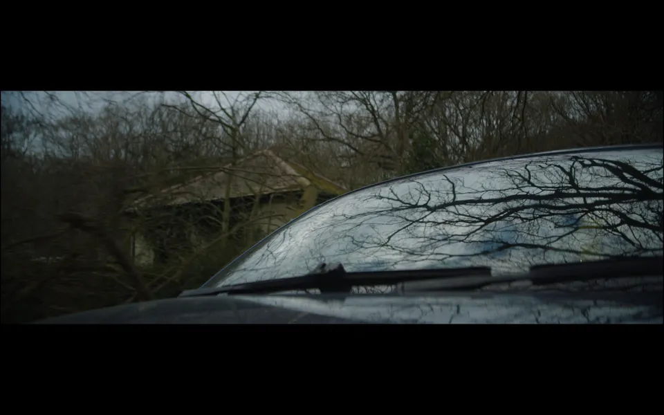 Bare winter trees reflected on a car's windscreen and roof, with a derelict cottage visible through the glass beyond.
